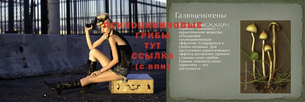 стафф Алексин