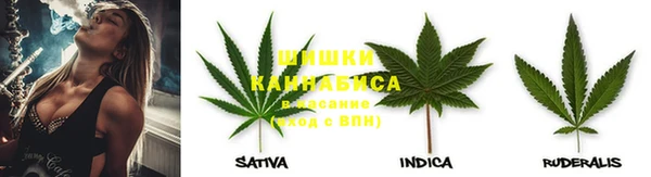 ГАЛЛЮЦИНОГЕННЫЕ ГРИБЫ Алексеевка