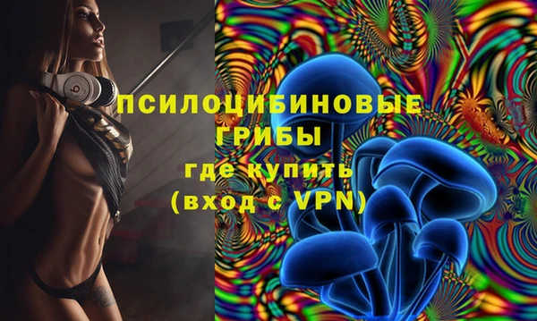 ГАЛЛЮЦИНОГЕННЫЕ ГРИБЫ Алексеевка