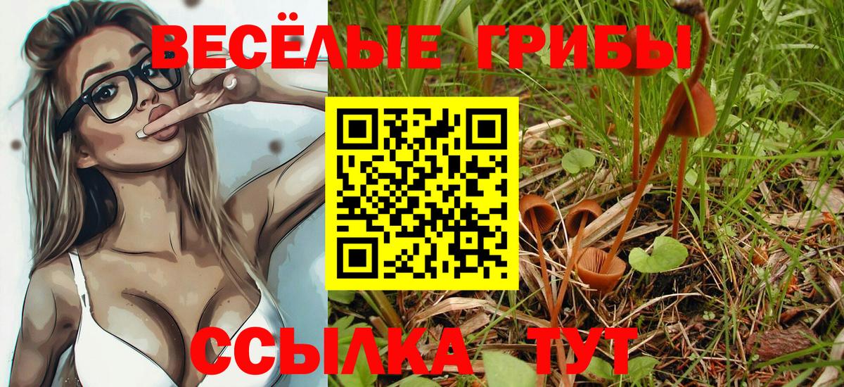 Псилоцибиновые грибы ЛСД  Вход с VPN  Галлюциногенные грибы мухоморы  Киржач 